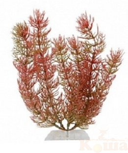 картинка Растение пластиковое Перистолистник красный (Red Foxtail)  15см от магазина Коша